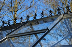 ROYAL WELL Victoriaanse nok Birdlip