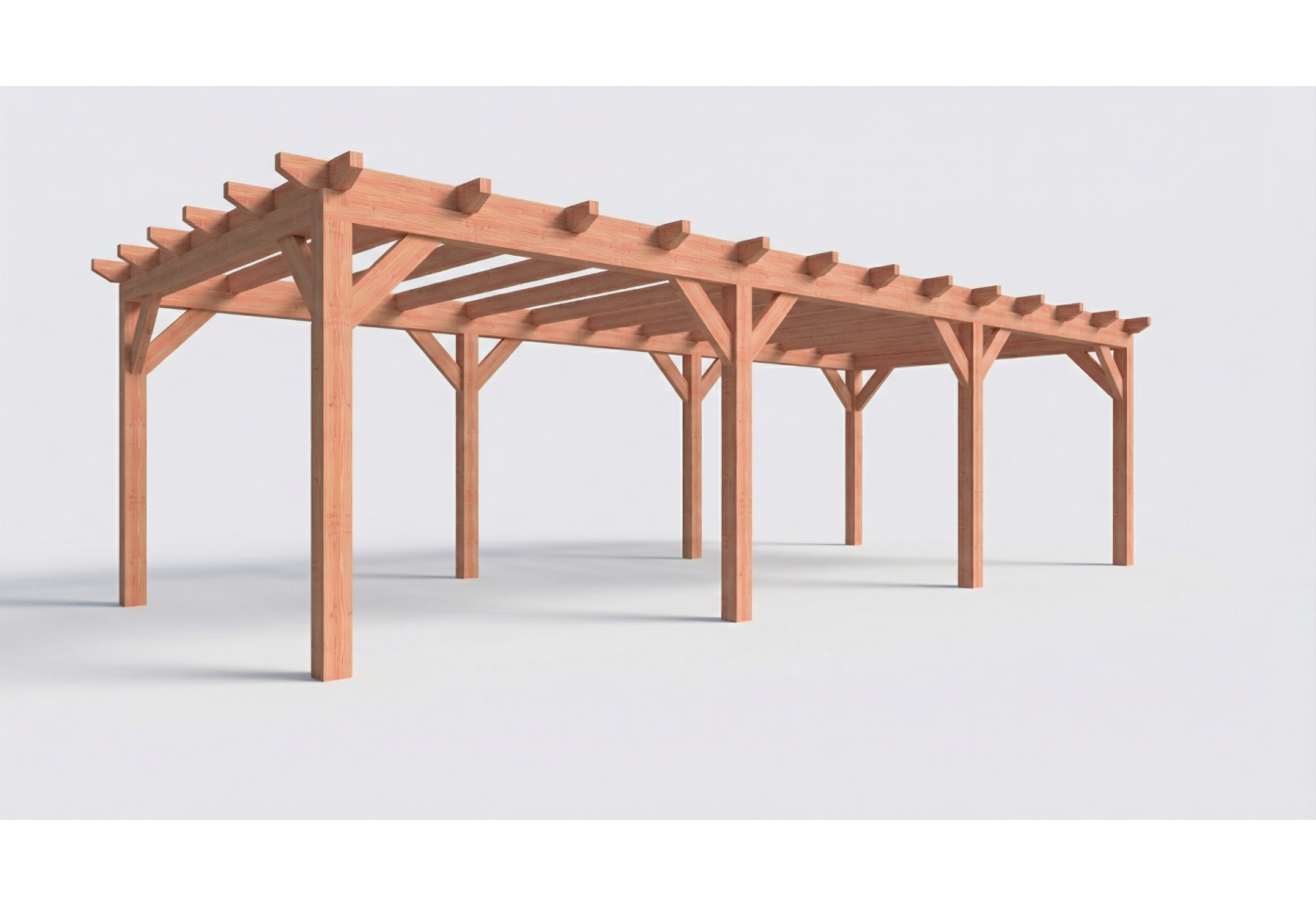 Plat dak constructie | pergola | 928x411cm